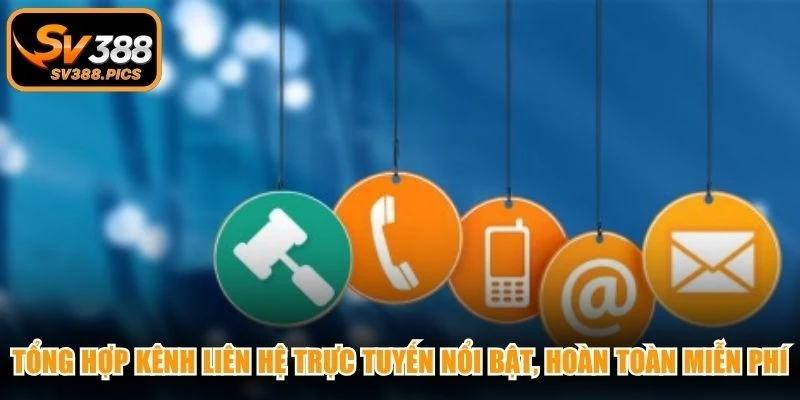 Tổng hợp kênh liên hệ trực tuyến nổi bật, hoàn toàn miễn phí