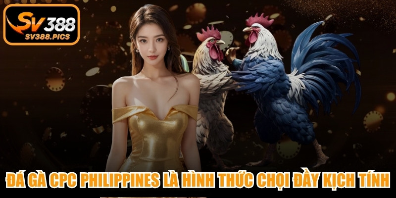 Đá gà CPC Philippines là hình thức chọi đầy kịch tính và lôi cuốn