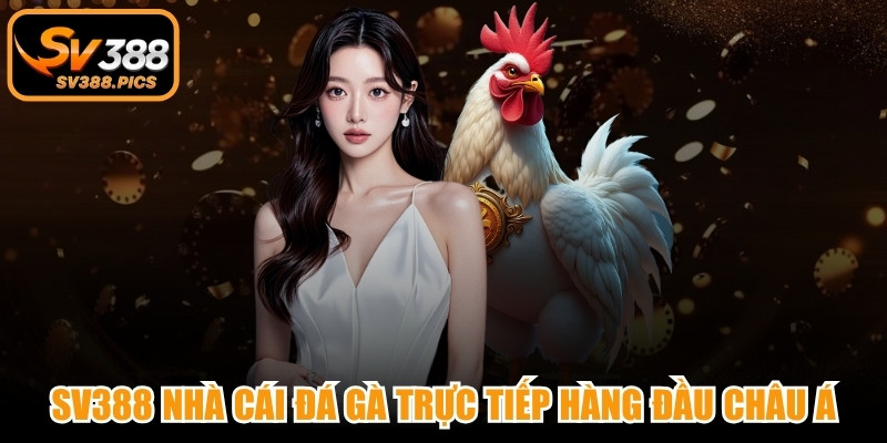 SV388 là nhà cái đá gà trực tiếp hàng đầu Châu Á, uy tín vượt trội