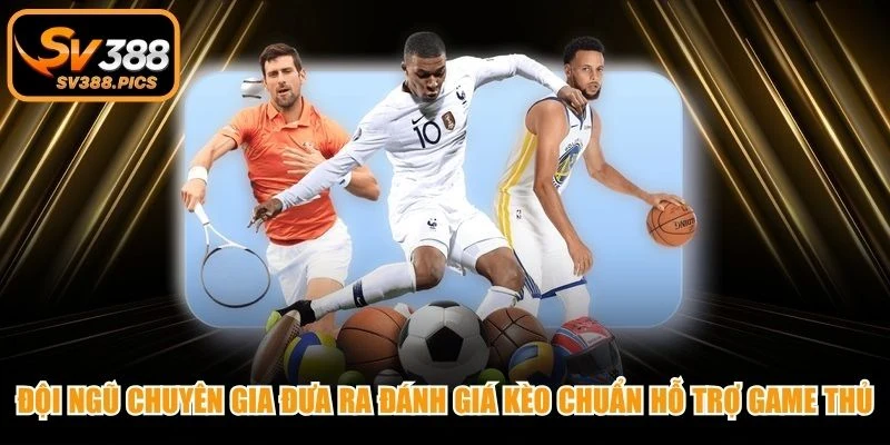 Đội ngũ chuyên gia đưa ra đánh giá kèo chuẩn hỗ trợ mọi game thủ